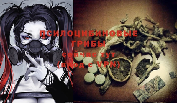 ECSTASY Алзамай