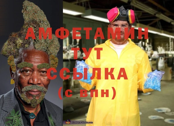 ECSTASY Алзамай