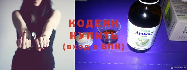 ECSTASY Алзамай