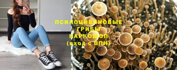 прущий лед Алексин