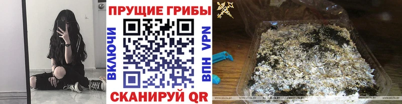 купить  сайты  Сасово  Галлюциногенные грибы мухоморы 